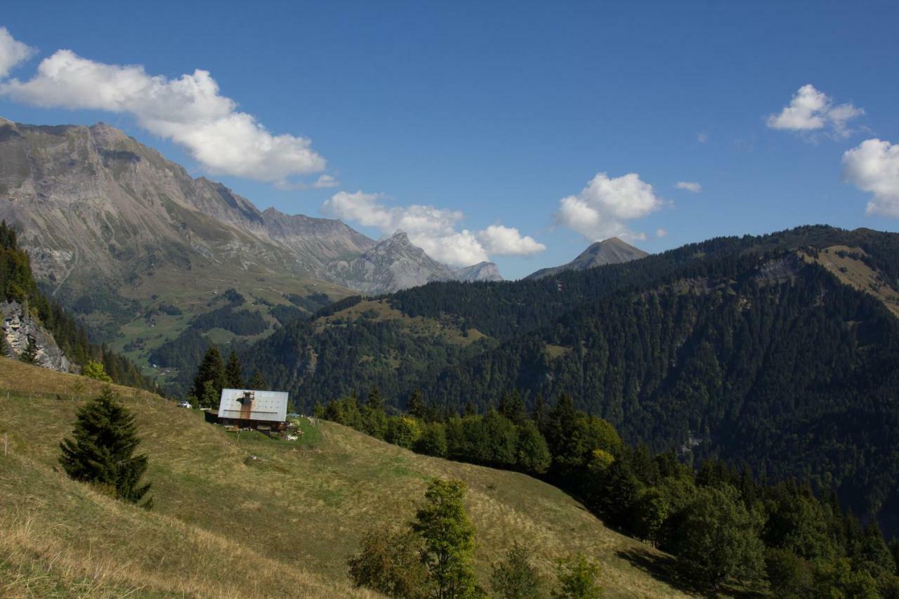 Reine des Aravis - chalet isolé Flumet Esterno foto